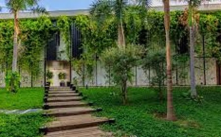 Want Stunning Landscapes? Discover Expert Irrigation Design Tips!