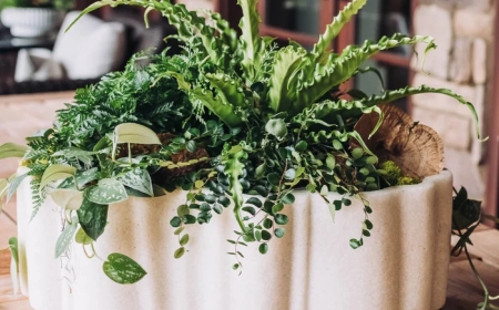 Creating Beauty with Custom Floral Arrangements for Every Occasion