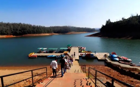 Mysore Ooty Coorg Tour Package: Crafting Memories, Naturally