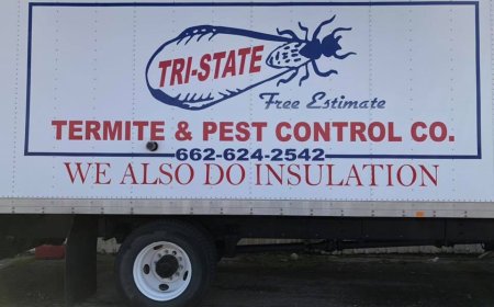 How to Identify and Prevent Bed Bugs in Cleveland: A Complete Guide