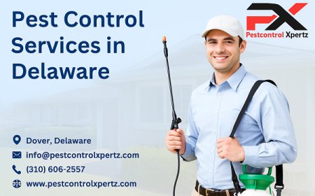 Commercial Pest Control in Wilmington: Protecting Local Businesses