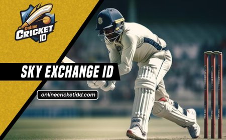 Sky Exch: Get Started Quickly with Sky Exchange ID Account 