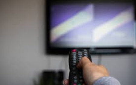 Redefine How You Watch: Explore the Ultimate Streaming Freedom with Lemo TV