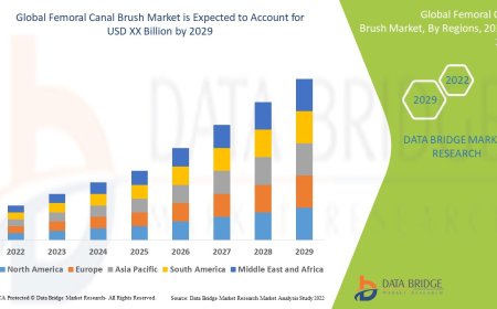 Femoral Canal Brush Market : Overview: Trends, Challenges, and Forecast 2025 –2032