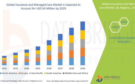 Insurance and Managed Care Market : Size, Share, and Future Growth 2025 –2032