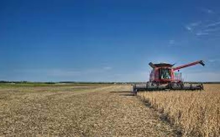 Farm Fuel Suppliers: Powering Agriculture Across the UK
