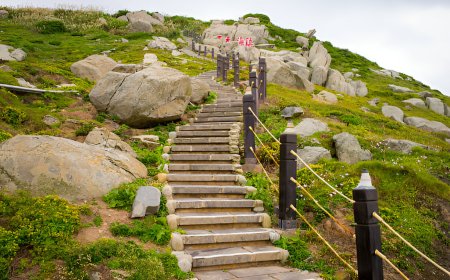 The Pawn’s Journey Proving Greatness Isn’t Given, It’s Earned