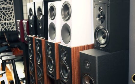 Why Crossover Settings Matter in a High-Performance Speaker System