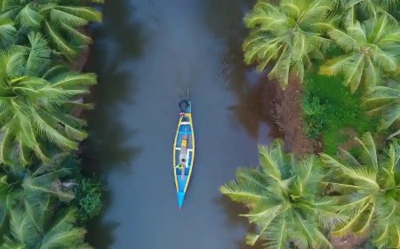 Kerala Budget Tour Package from Bengaluru | TripSpray