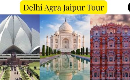 Delhi Agra Jaipur Tour Packages: Golden Triangle Adventures Await You