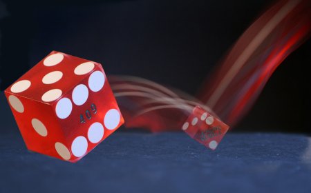 How to Get Started with 11xplay – A Quick User Guide