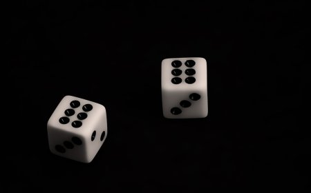 How to Register and Start Earning on Lotus365 – Step-by-Step Guide