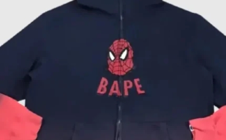 Spider Hoodie: A Bold Symbol in Contemporary Streetwear