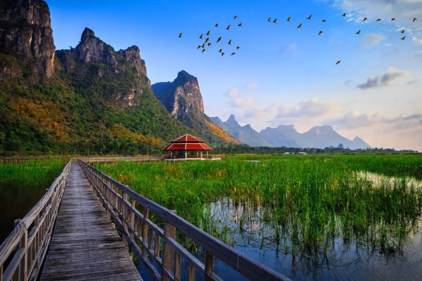 7 Days Thailand Tour Package Price: Explore Bangkok & Pattaya