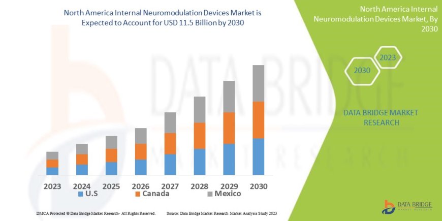 North America Internal Neuromodulation Devices Market: Size, Share, and Growth Forecast to 2030