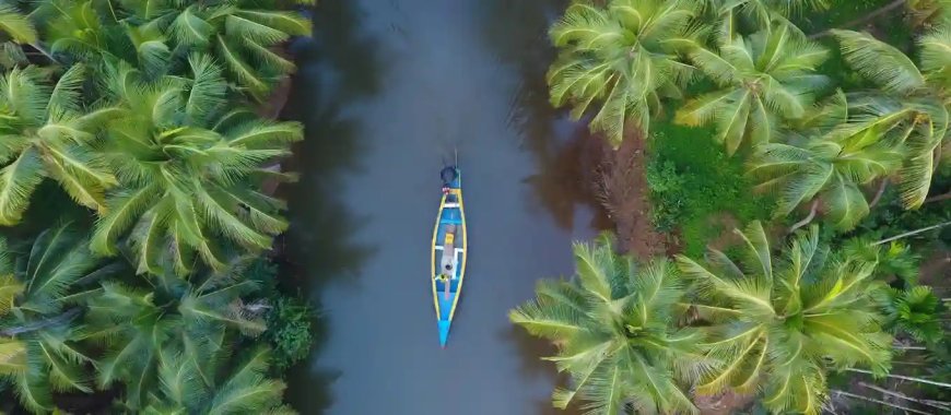 Kerala Budget Tour Package from Bengaluru | TripSpray