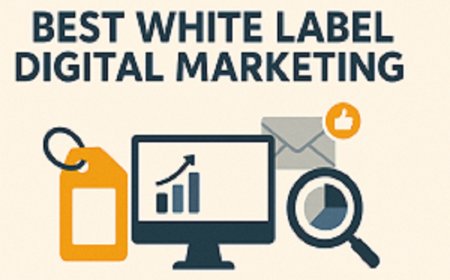 Best White Label Digital Marketing: Scale Your Business with Confidence