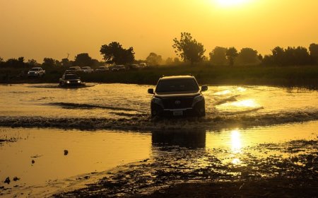 Self-Inspection Guide to Help You Buy a Car Better