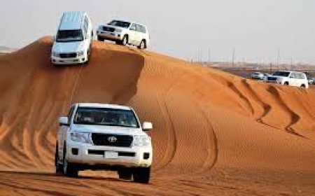 Premium Red Dune Desert Safari in Abu Dhabi – Adventure Meets Culture