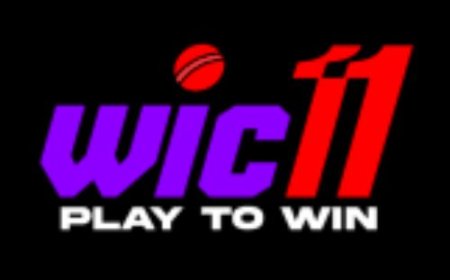 Wic11 IPL Betting 2025: Play Now to Win Big