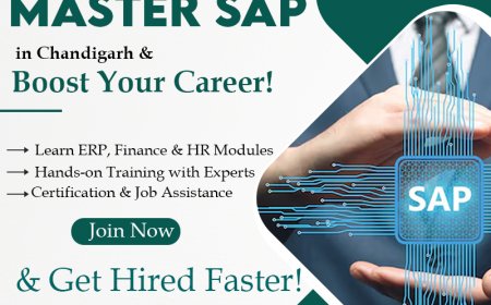 From Beginner to Consultant – SAP Courses for All Levels