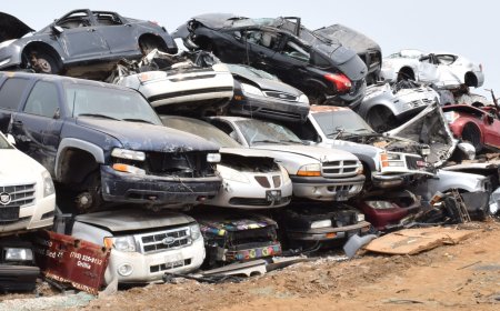 Why Junkyards Are the Unsung Heroes of the Automotive Industry