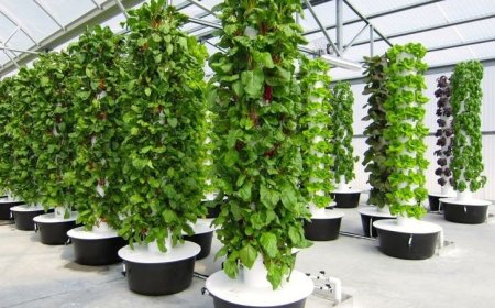 The Aeroponic Tower Garden: Revolutionizing Home Cultivation