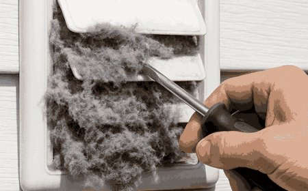 Who are the Leading Dryer Vent Cover Replacement experts in Bellevue