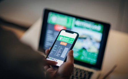 Allpanel 777 – Your Trusted Gateway to the Ultimate Panel Experience