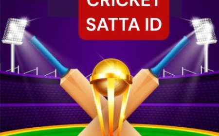 5 Best Online Cricket ID Providers in India