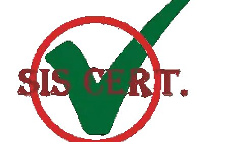 ISO Certification in Switzerland | ISO 9001, 14001, 45001, 22000, 27001