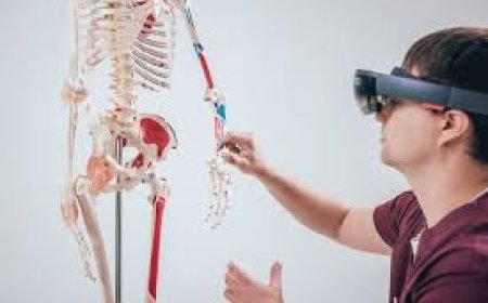 Revolutionizing Medical Education: AR Anatomy Apps for Harvard Med School by Boston iOS Developers