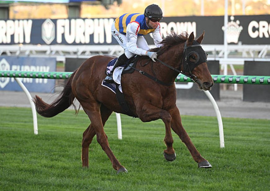 Flemington Racing Insights: How to Pick the Best Flemington Best Bets Like a Pro