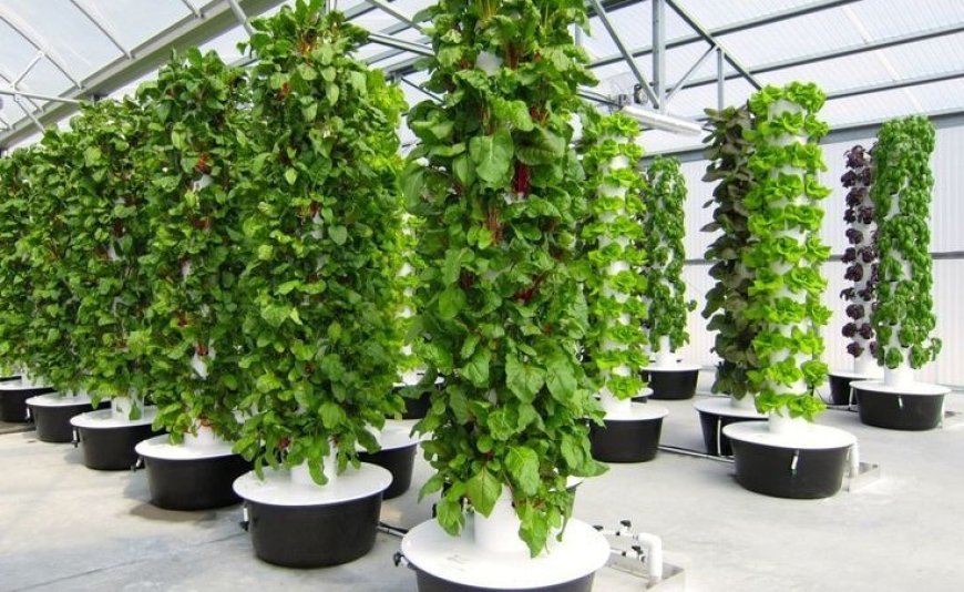 The Aeroponic Tower Garden: Revolutionizing Home Cultivation