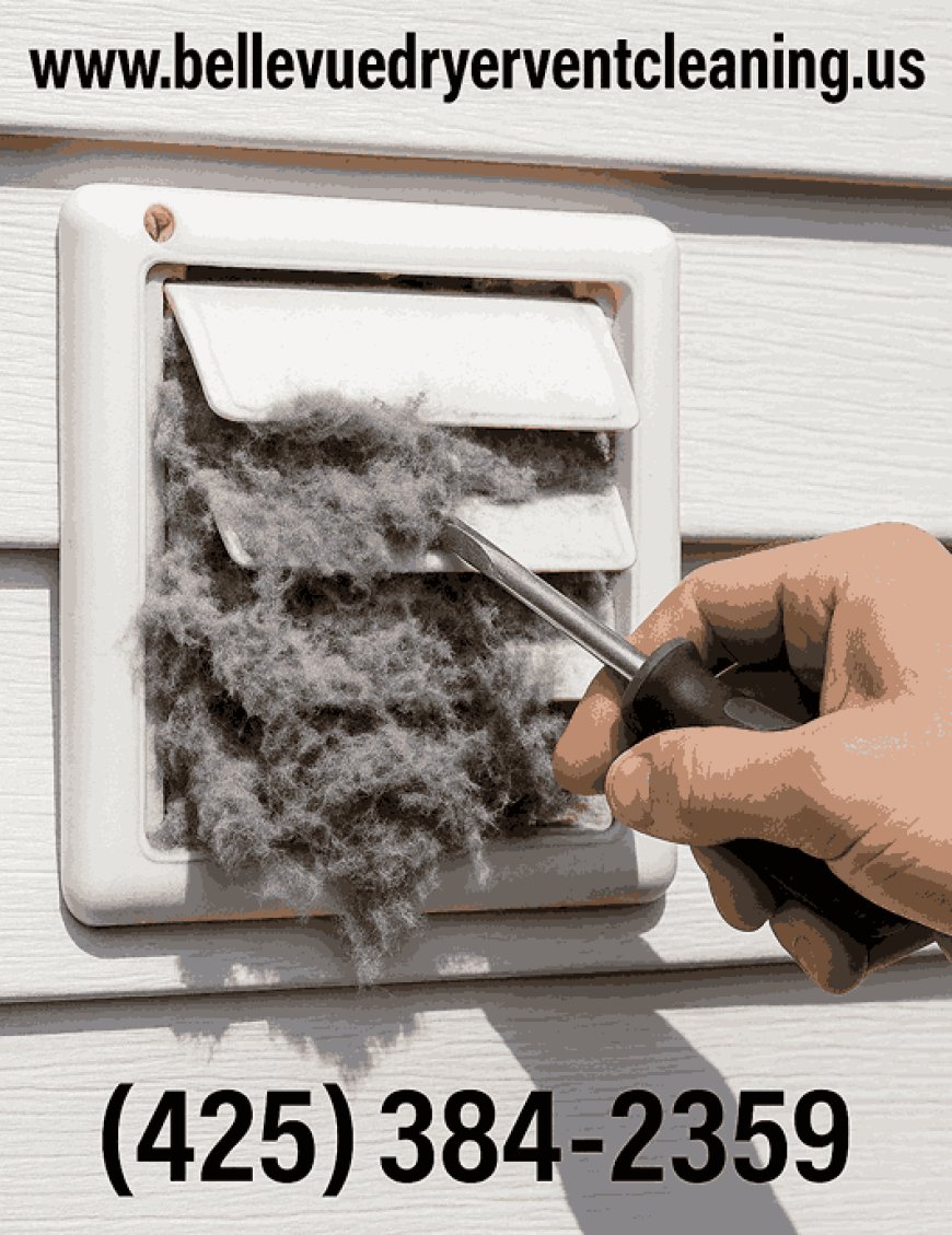 Who are the Leading Dryer Vent Cover Replacement experts in Bellevue