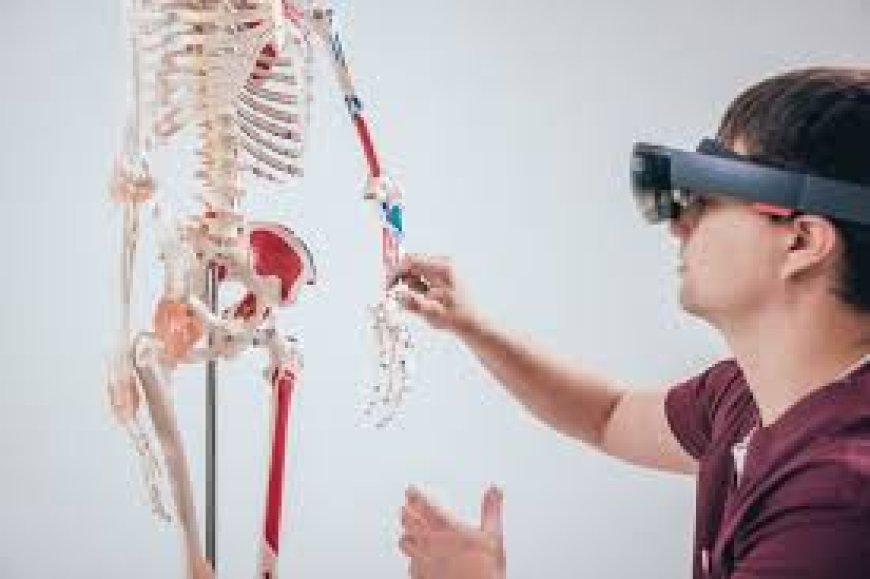 Revolutionizing Medical Education: AR Anatomy Apps for Harvard Med School by Boston iOS Developers